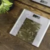 Cecotec ζυγαριά σώματος Surface Precision Healthy μέγιστο βάρος 180 γκρι/διαφανές