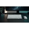 Dark Project ALU81A Terra Nova White μηχανικό πληκτρολόγιο, G3MS Moonstone Switch, US ANSI