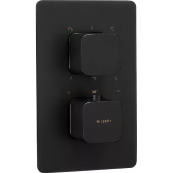 DEANTE εξωτερικό στοιχείο για Thermostat-BOX - βουρτσισμένο χρυσό - OMNIRES Y