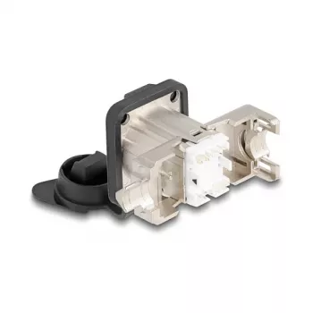 Delock D-Typ RJ45 υποδοχή θηλυκή χωνευτή Cat.6A STP με σύνδεση LSA και προστατευτικό καπάκι IP66