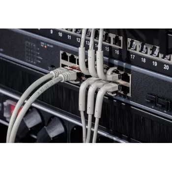 DIGITUS CAT 6A F/FTP Γωνιακό καλώδιο patch RJ-45, Χαλκός, 0,3 m, Γκρι, συσκευασία 10 τεμ.