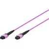 DIGITUS OM4 MPO σε MPO 12-ινών καλώδιο patch, 2m, μέθοδος A, μωβ DK-2566-02/4