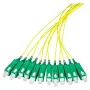 EFB Elektronik FTTH Pigtail SC/APC OS2 G.657.A2 9/125µm Κίτρινο 2m