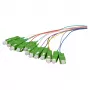 EFB Fiber Optic Pigtail SC OS2 G657A2 Σετ 12 χρωμάτων 2m