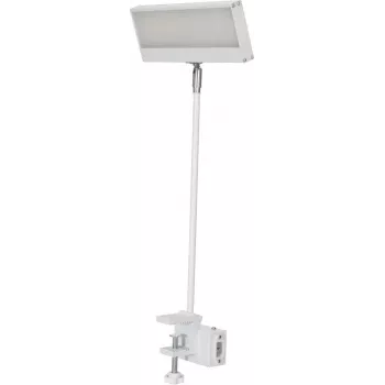 EUROLITE LED KKL-40 Προβολέας 3CT Λευκό 41600600