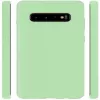 Evelatus Samsung Galaxy S10 Nano Silicone Θήκη Soft Touch TPU Mint