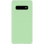 Evelatus Samsung Galaxy S10 Nano Silicone Θήκη Soft Touch TPU Mint