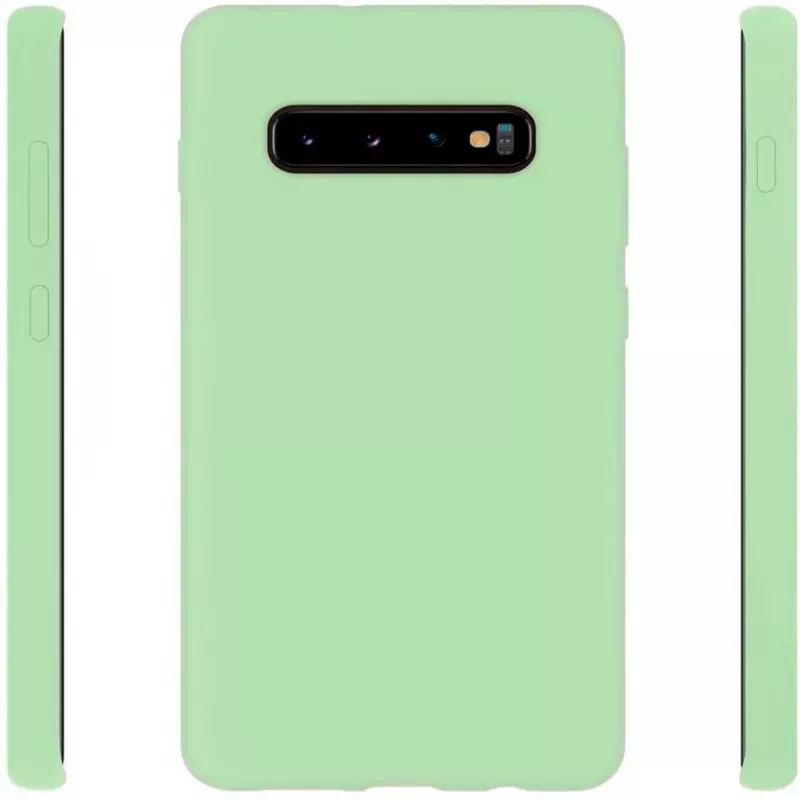 Evelatus Samsung Galaxy S10+ Nano Θήκη Σιλικόνης Soft Touch TPU Mint