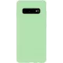 Evelatus Samsung Galaxy S10+ Nano Θήκη Σιλικόνης Soft Touch TPU Mint