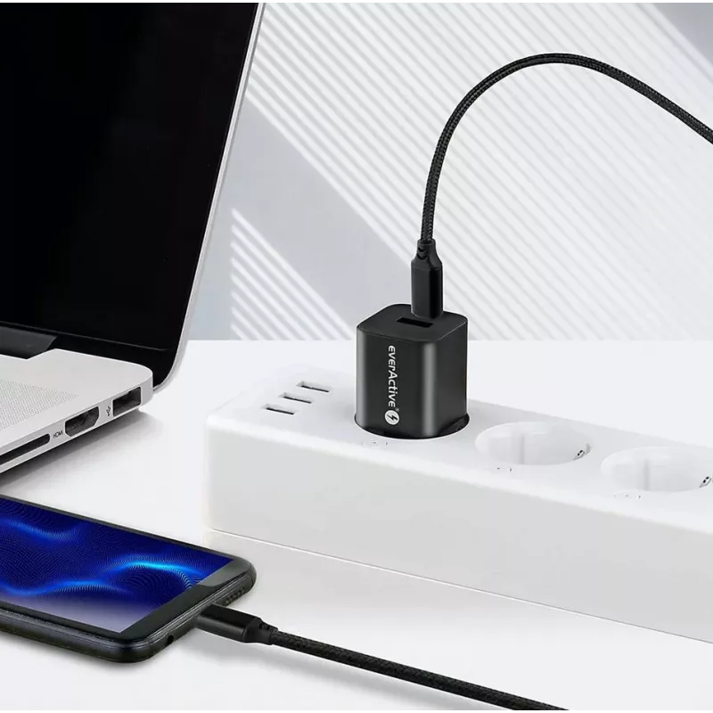 everActive CBB-1PD5 Καλώδιο USB-C σε USB-C 100W PD 5A 1m