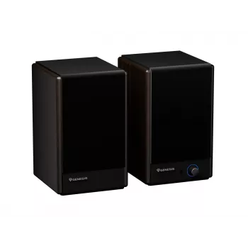 GENESIS ARSEN 402BT 2 δρόμων μπρονζέ ενσύρματο & ασύρματο 60 W