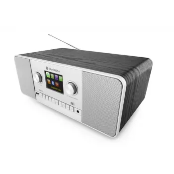 GoGen IR 257 BTDAB internet digital ασημί