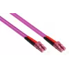 GoodConnections LC/LC Duplex OM4 Πολύτροπο Καλώδιο patch οπτικών ινών, 2 m, Aqua, LSZH LW-802LC4