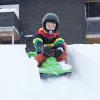 Hamax Sno Zebra Snow Racer πράσινο πολυαιθυλένιο