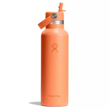 Hydro Flask 620 ml Standard Flex Straw Cap θερμομονωτικό μπουκάλι νερού Nectar