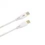 iLike Evelatus Καλώδιο Φόρτισης USB-C σε USB-C CTT01 λευκό 1m