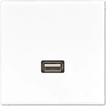 JUNG LS-Serie άρθρωση USB 2.0, λευκό αλπικό (MALS1122WW)