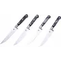 Laguiole σετ μαχαιριών steak 4 τεμ. με λαβή ρητίνης