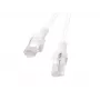 Lanberg PCU6-10CC-0050-W Cat6 U/UTP Καλώδιο patch 0,5m Λευκό