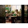 LEGO BOTANICALS 11512 κρεμαστός κισσός δράκου σετ κατασκευής