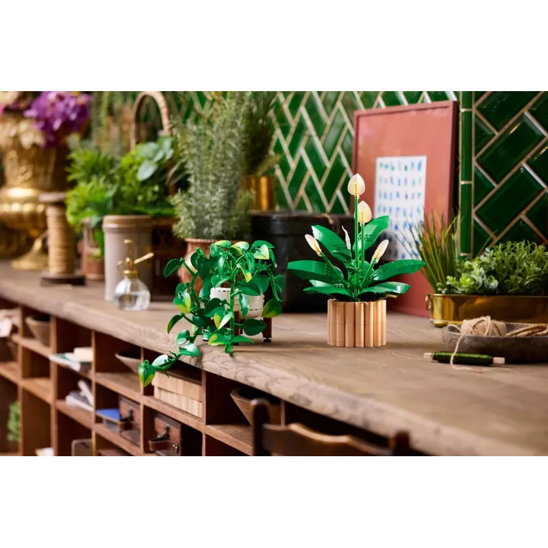LEGO BOTANICALS 11512 κρεμαστός κισσός δράκου σετ κατασκευής