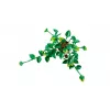LEGO BOTANICALS 11512 κρεμαστός κισσός δράκου σετ κατασκευής