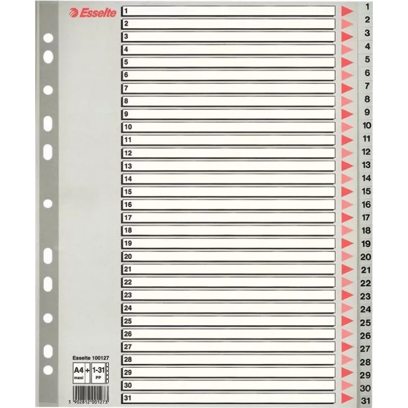 LEITZ A4 Extra Πλατύ Λευκό Ευρετήριο πλαστικό, 20-θέσιο, Universal διάτρηση, Ημιδιαφανές Λευκό 1278-00-00