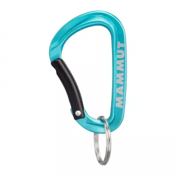 Mammut Mini Karabiner Classic Keylock S - Ασημί/Γκρι