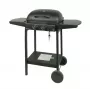 MASTER GRILL Master ψησταριά υγραερίου 2 καυστήρων MG672