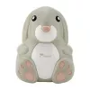 Momini Nebuliser NebuBunny με συμπιεστή