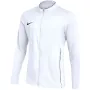 Nike ανδρικό αθλητικό μπλουζάκι προπόνησης Dri-FIT Park 26 λευκό HM7249-100 μέγεθος M
