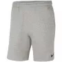 Nike Park 20 ανδρικό σορτς Dark Grey Heather XL