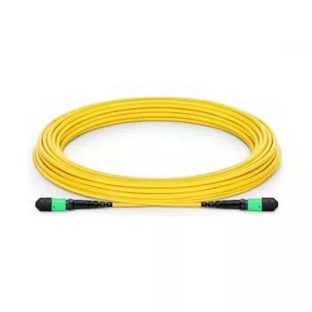 NVIDIA Παθητικό οπτικό καλώδιο SMF MPO12 APC σε MPO12, 10 m (980-9I58D-00N010)