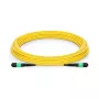 NVIDIA Παθητικό οπτικό καλώδιο SMF MPO12 APC σε MPO12, 10 m (980-9I58D-00N010)