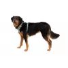 Ruffwear Front Range σαμαράκι XS - River Rock Green