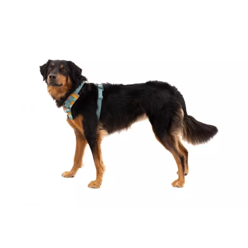 Ruffwear Front Range σαμαράκι XS - River Rock Green