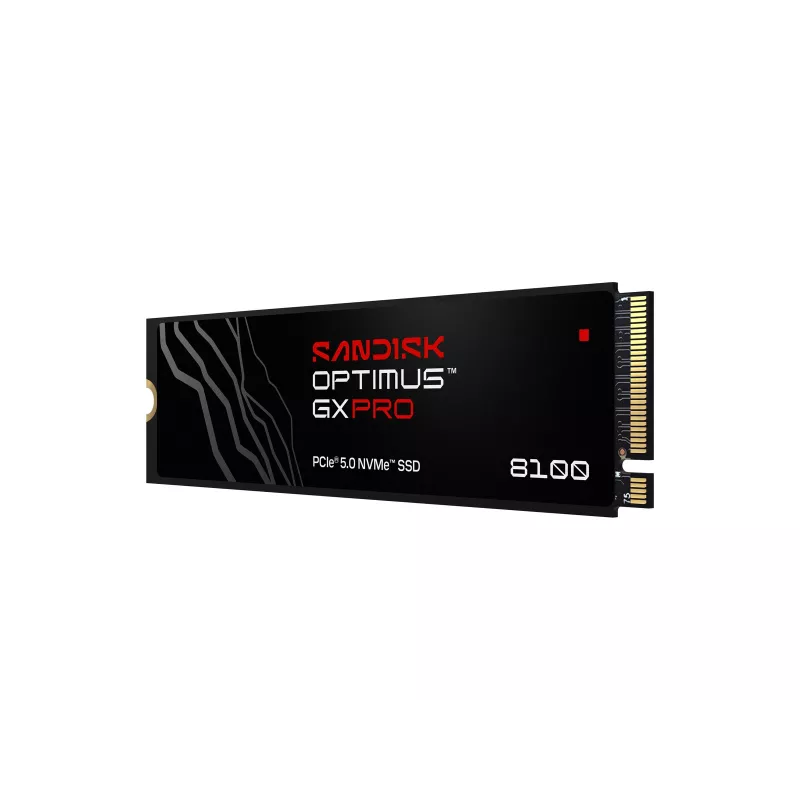 SanDisk Εσωτερικός SSD Optimus GX PRO 8100, 4TB (00233410)