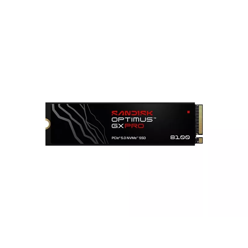 SanDisk Εσωτερικός SSD Optimus™ GX PRO 8100, 8TB (00233411)