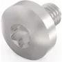 SCHROFF Βίδα TORX M4x6 E/PRO (100 τεμ./κιτ) - Βίδα μηχανής επίπεδης κεφαλής, επιψευδαργυρωμένος χάλυβας, υποδοχή T20 για συναρμολόγηση ηλεκτρονικών 24560135