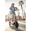 Segway Ninebot eKickscooter D38E Μαύρο Κόκκινο