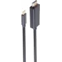 SHIVERPEAKS BASIC-S USB-C σε DisplayPort Καλώδιο 1m 8K60Hz Μαύρο (BS10-61045)
