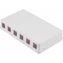 SHIVERPEAKS Θήκη επιτοίχιας τοποθέτησης Keystone, 6-Port, λευκό (BS08-10118)
