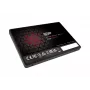 Silicon Power Ace A5X 256GB 2,5 ίντσες SATA III SSD