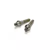 Silva Tungsten Carbide μύτες μπαστουνιών πεζοπορίας (ζεύγος) - καθολική βιδωτή αντικατάσταση