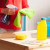 Spin Master Melissa & Doug Σετ καθαρισμού
