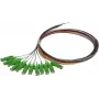 SYNERGY21 S215560 σετ καλωδίων patch οπτικών ινών 2 m OS2 E-2000 (LSH) πολύχρωμο συσκευασία 12 τεμ.