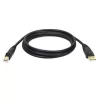 Tripp Eaton Tripp Lite Series Καλώδιο USB 2.0 A to B (M/M)