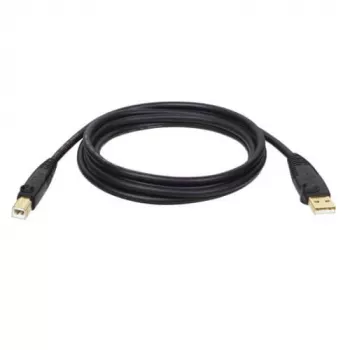 Tripp Eaton Tripp Lite Series Καλώδιο USB 2.0 A to B (M/M)