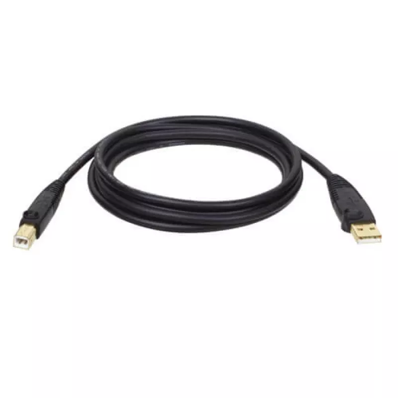 Tripp Eaton Tripp Lite Series Καλώδιο USB 2.0 A to B (M/M)