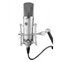 Warm Audio WA-67 Λυχνιακό πυκνωτικό μικρόφωνο Ασημί Μικρόφωνο στούντιο
